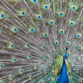 MATTHEW 22:46 // Reboot – You could see me