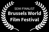 SEMI FINALIST - Brussels World Film Festival.png