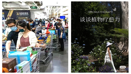 How China’s Young Adults Self-Medicate their Fractured Lives 