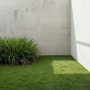 natural turf and artificial turf. no writings in modern garden.jpg