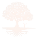 CT_LOGO_111423 (8)_edited_edited_edited_