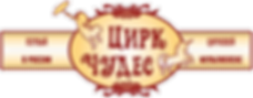 Цирковой_мультиплекс (1).png