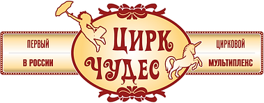 Цирковой_мультиплекс (1).png