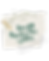 TAPAHTUMATUOTANTO ESITTÄVÄT TAITEET VALOKUVAUS WEB DESIGN (4).png