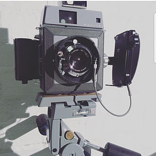 Writer: Sophie Naisbitt