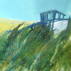 Bird Hide I