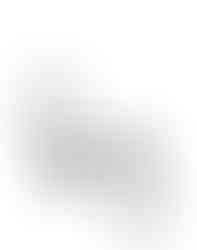 Paul Scholes Signature