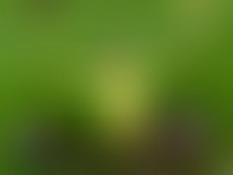 กระทิงดุชุดสำรองดับฝันแอลเบเนีย1-0