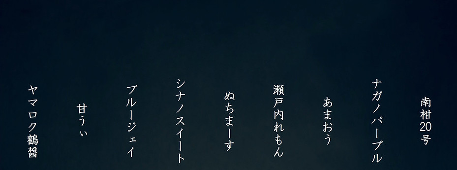 断面_edited.jpg