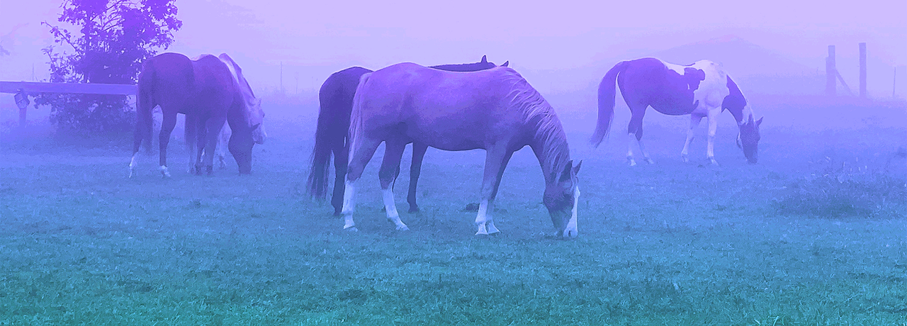 banner-image-2.png
