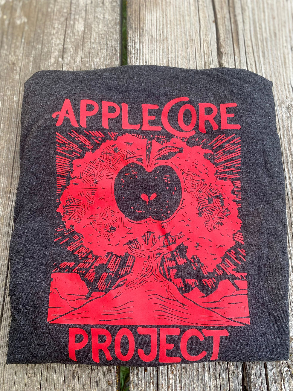 Long Sleeved T-Shirt