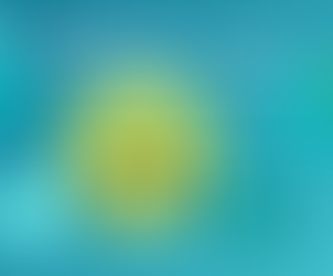 OUR END-OF-YEAR FUNDRAISING CAMPAIGN IS IN FULL SWING!