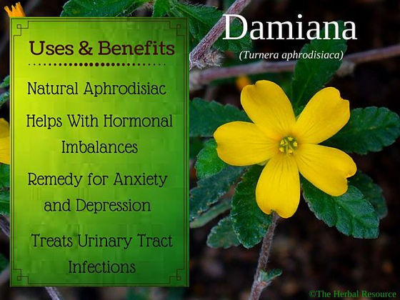 For this Valentine's Day, Spice it up with Damiana...