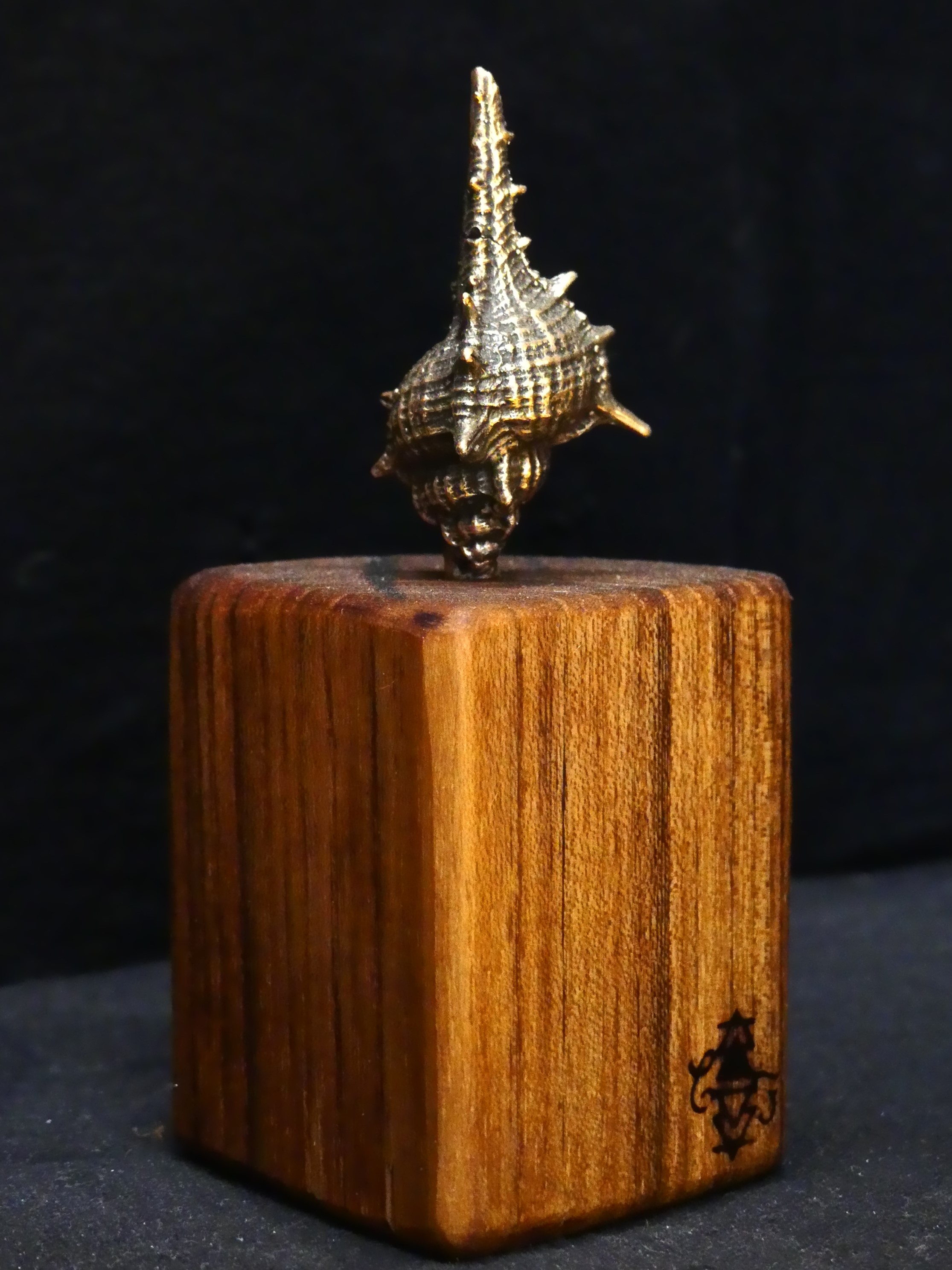 "Peigne de Vénus" | C.F