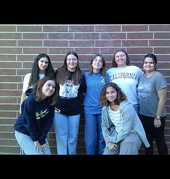 Capo Valley Children's Hour Props - Emil