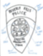 IDEAS FROM PHONE CONVERSATION