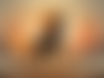 en krachtig zwart paard met vlammende manen en staart die galoppeert door een stoffig landschap bij zonsondergang, met de tekst "Jaar van het Vuurpaard" in een sfeervol lettertype.