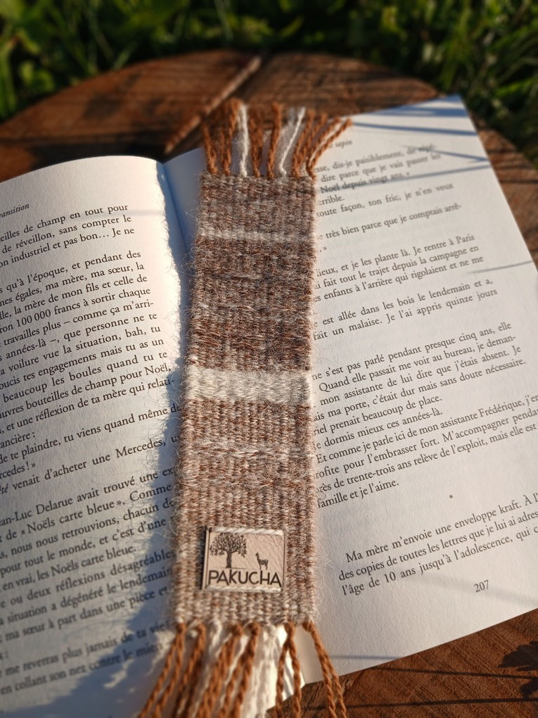 Miniature : Marque-pages Rayé