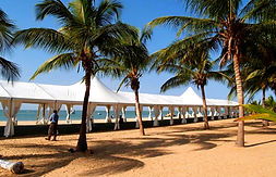 Senegal Dec 05 Carpa_edited.jpg