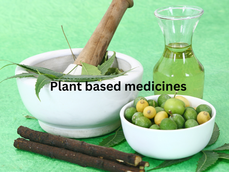 Wellness Retreats: Introduction to Sri Lanka's Natural Healing Ayurveda Medical Practices