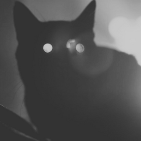 Halloween Coded K-pop Songs