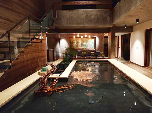 Premium Residential interior- fishpond