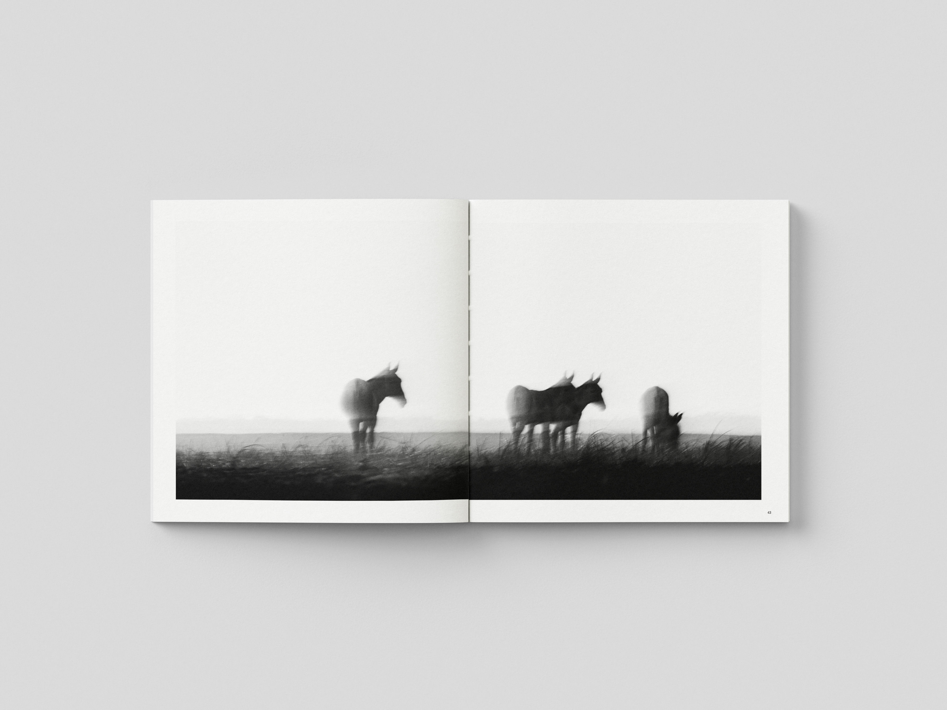 En Thedal (My Search) - BiLingual Coffee Table Book - Hardcase