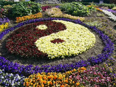 Discover the Harmony of Balancing Yin and Yang Energy in Your Life