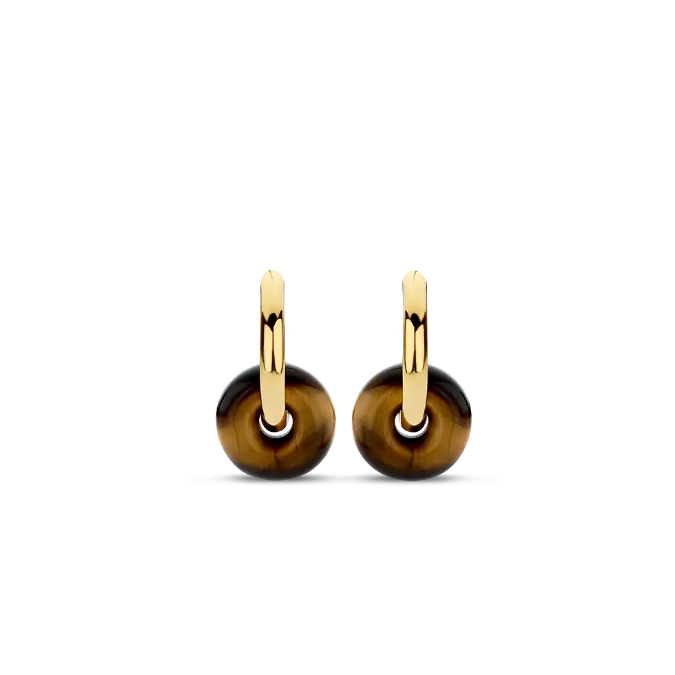 Thumbnail: Tiger Eye Earrings