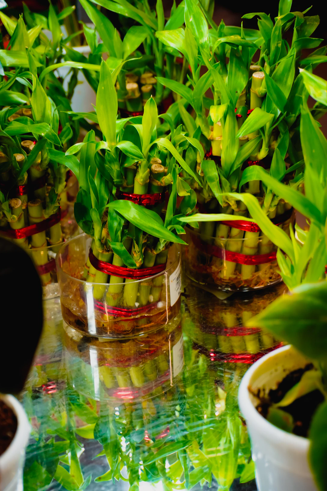 Creating a Balanced Environment with Feng Shui Principles