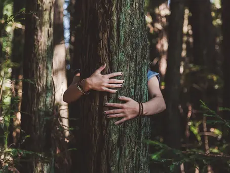 The Healing Power of Nature in Feng Shui