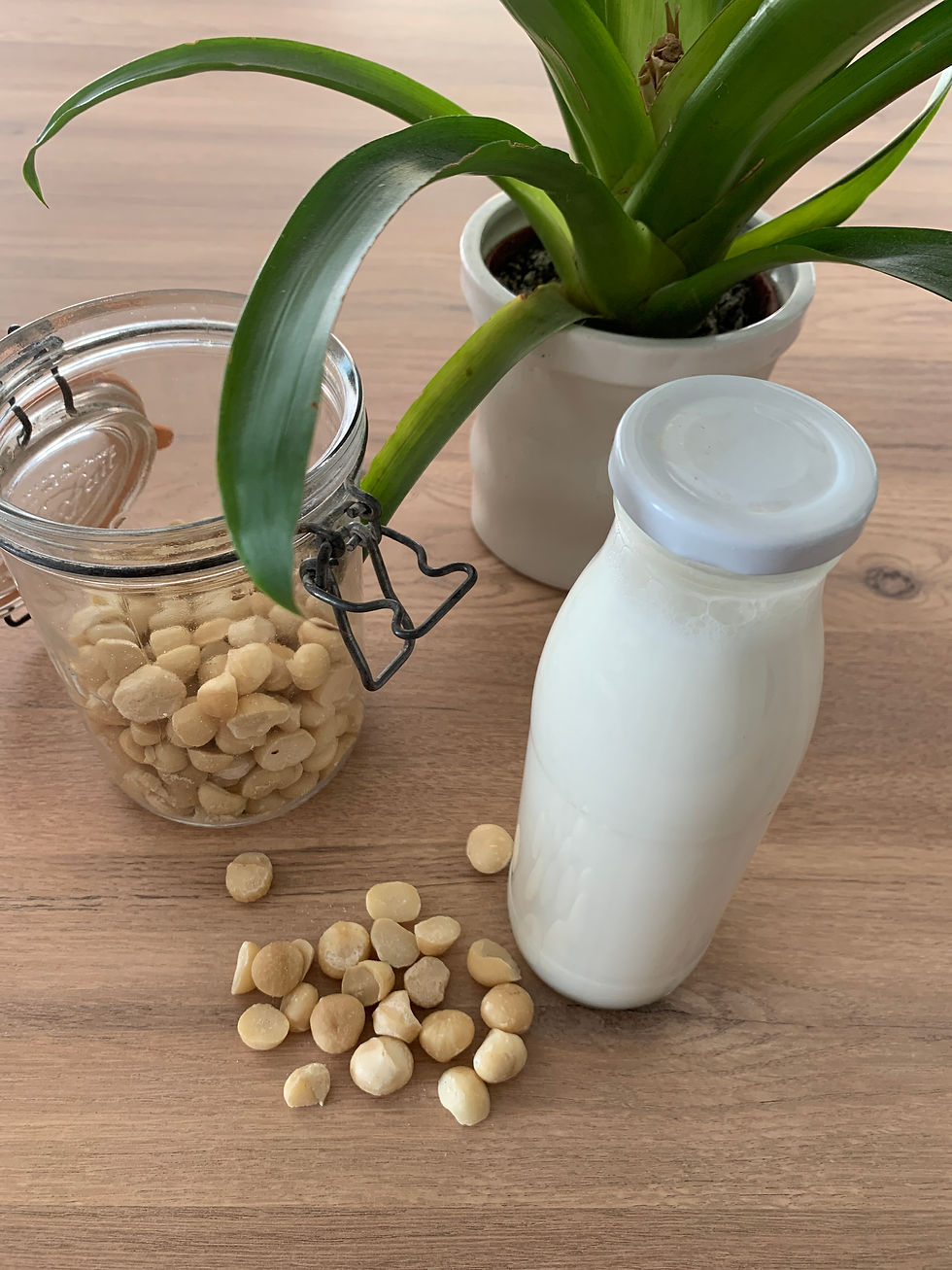 Bouteille de lait de macadamia