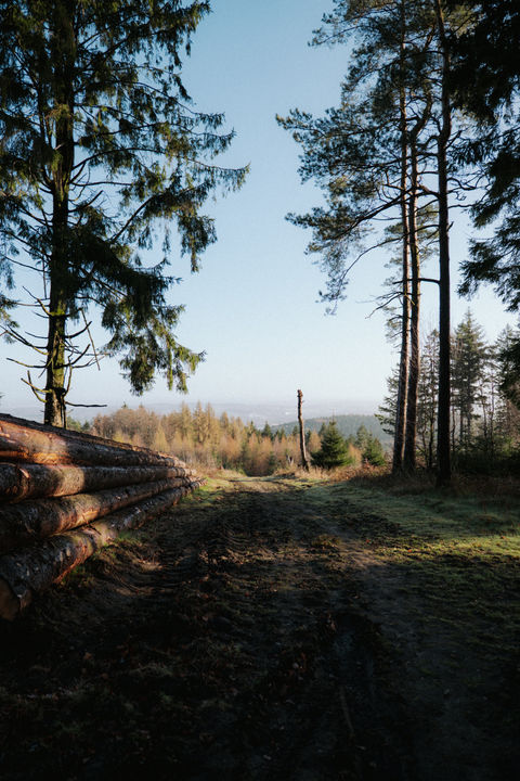 Outdoor Shooting Osnabrück – natürliche Umgebung goldene Stunde Fredo Gerdes 