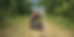 Untitled design (7).png