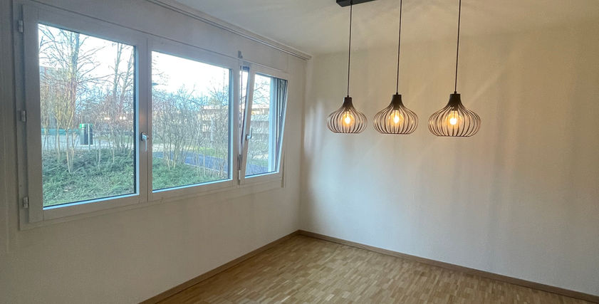 Schimmelbehandlung