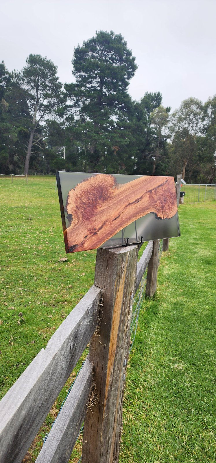 Thumbnail: Brown Mallee Burl charcuterie board with smoke black resin -150