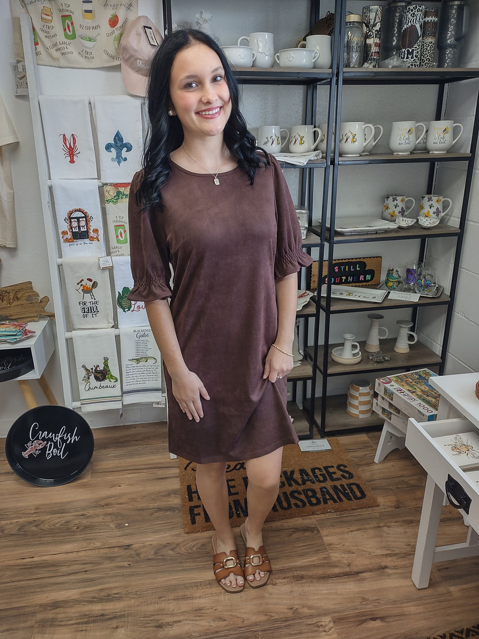 Thumbnail: Chocolate Suede Dress