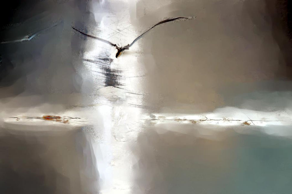 Let me fly