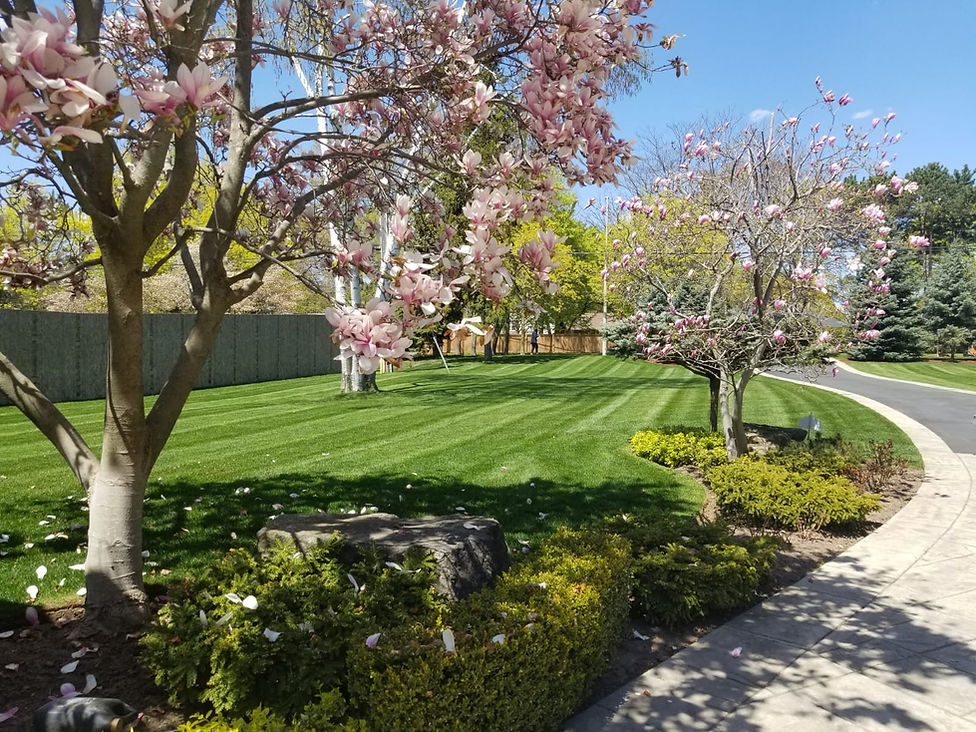 WhatsApp Image 2023-10-24 at 13.09.41 (1).jpeg