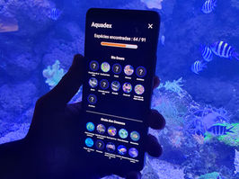 SEA LIFE Porto traz a primeira App de identificação de espécies marinhas para Portugal