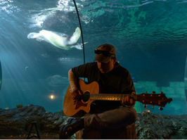 Fernando Daniel deu concerto imersivo no SEA LIFE Porto