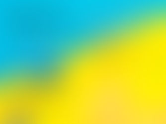 Summer Career Camp: a decorrer durante esta semana