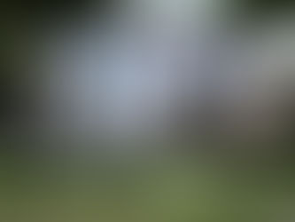 Museu da Memória de Matosinhos celebra 3º aniversário