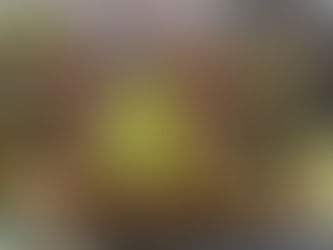 Compostagem Comunitária