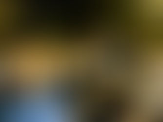 Penúltima sessão do Moontosinhos