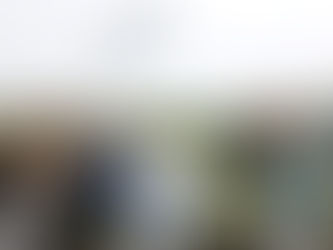 Inauguração da segunda fase do Corredor Verde do Leça