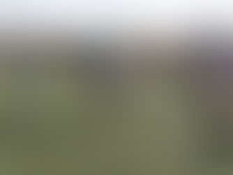 Dia do Mini Voleibol juntou milhares em Leça da Palmeira