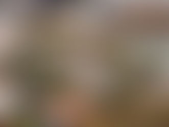 Oporto Metropolitano abre em setembro e cruza residência, hotelaria e investimento