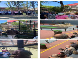 Visita Cultural ao Zoo da Maia