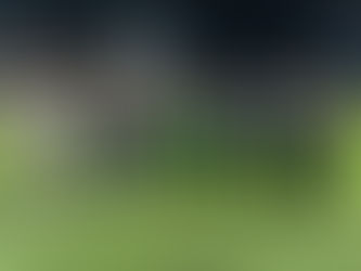 Futebol Clube de Infesta